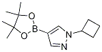 1-Cyclobutyl-4-(4,4,5,5-tetramethyl-1,3,2-dioxaborolan-2-yl)-1h-pyrazoleStructure,1002309-48-9Structure 1-Cyclobutyl-4-(4,4,5,5-tetramethyl-1,3,2-dioxaborolan-2-yl)-1h-pyrazole Structure,1002309-48-9Structure
