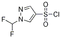 1-Difluoromethyl-1h-pyrazole-4-sulfonyl chlorideStructure,1006320-00-8Structure 1-Difluoromethyl-1h-pyrazole-4-sulfonyl chloride Structure,1006320-00-8Structure