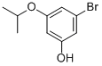 3-Bromo-5-isopropoxyphenolStructure,1026796-73-5Structure 3-Bromo-5-isopropoxyphenol Structure,1026796-73-5Structure