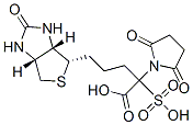 Biotinyl-N-hydroxysulfosuccinimide esterStructure,105248-43-9Structure Biotinyl-N-hydroxysulfosuccinimide ester Structure,105248-43-9Structure