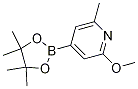 6-Methoxy-2-picoline-4-boronic acid, pinacol esterStructure,1083168-87-9Structure 6-Methoxy-2-picoline-4-boronic acid, pinacol ester Structure,1083168-87-9Structure
