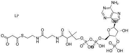 Malonyl Coenzyme A Lithium SaltStructure,108347-84-8Structure Malonyl Coenzyme A Lithium Salt Structure,108347-84-8Structure