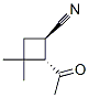 Cyclobutanecarbonitrile, 2-acetyl-3,3-dimethyl-, trans-(9ci) Structure,109900-64-3Structure