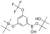 3-(T-butyldimethysilyloxy)-5-trifluoromethoxyphenylboronic acid, pinacol esterStructure,1150271-36-5Structure 3-(T-butyldimethysilyloxy)-5-trifluoromethoxyphenylboronic acid, pinacol ester Structure,1150271-36-5Structure