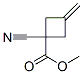 Cyclobutanecarboxylic acid, 1-cyano-3-methylene-, methyl ester (9ci) Structure,116546-99-7Structure