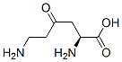 L-lysine, 4-oxo-(9ci)Structure,118021-34-4Structure L-lysine, 4-oxo-(9ci) Structure,118021-34-4Structure