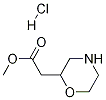 Methyl 2-(morpholin-2-yl)acetate hydrochlorideStructure,1187932-65-5Structure Methyl 2-(morpholin-2-yl)acetate hydrochloride Structure,1187932-65-5Structure