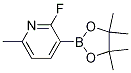 2-Fluoro-6-methylpyridine-3-boronic acid pinacol esterStructure,1218790-38-5Structure 2-Fluoro-6-methylpyridine-3-boronic acid pinacol ester Structure,1218790-38-5Structure