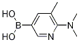 6-(Dimethylamino)-5-methylpyridin-3-ylboronic acidStructure,1223527-80-7Structure 6-(Dimethylamino)-5-methylpyridin-3-ylboronic acid Structure,1223527-80-7Structure