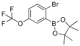 2-(2-Bromo-5-(trifluoromethoxy)phenyl)-4,4,5,5-tetramethyl-1,3,2-dioxaborolaneStructure,1256781-66-4Structure 2-(2-Bromo-5-(trifluoromethoxy)phenyl)-4,4,5,5-tetramethyl-1,3,2-dioxaborolane Structure,1256781-66-4Structure