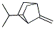 (9ci)-7-亞甲基-2-(1-甲基乙基)-雙環(huán)[2.2.1]庚烷結構式_125909-73-1結構式