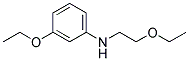 Benzenamine, 3-ethoxy-n-(2-ethoxyethyl)-(9ci)Structure,127599-45-5Structure Benzenamine, 3-ethoxy-n-(2-ethoxyethyl)-(9ci) Structure,127599-45-5Structure