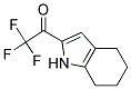 Ethanone, 2,2,2-trifluoro-1-(4,5,6,7-tetrahydro-1h-indol-2-yl)-(9ci)Structure,131172-58-2Structure Ethanone, 2,2,2-trifluoro-1-(4,5,6,7-tetrahydro-1h-indol-2-yl)-(9ci) Structure,131172-58-2Structure