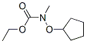Carbamic acid, (cyclopentyloxy)methyl-, ethyl ester (9ci) Structure,133146-78-8Structure