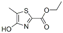 2-Thiazolecarboxylic acid, 4-hydroxy-5-methyl-, ethyl esterStructure,133833-93-9Structure 2-Thiazolecarboxylic acid, 4-hydroxy-5-methyl-, ethyl ester Structure,133833-93-9Structure