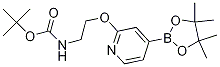 Tert-butyl (2-((4-(4,4,5,5-tetramethyl-1,3,2-dioxaborolan-2-yl)pyridin-2-yl)oxy)ethyl)carbamateStructure,1346697-27-5Structure Tert-butyl (2-((4-(4,4,5,5-tetramethyl-1,3,2-dioxaborolan-2-yl)pyridin-2-yl)oxy)ethyl)carbamate Structure,1346697-27-5Structure