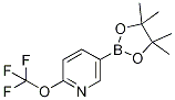 5-(4,4,5,5-Tetramethyl-1,3,2-dioxaborolan-2-yl)-2-(trifluoromethoxy)pyridineStructure,1352741-13-9Structure 5-(4,4,5,5-Tetramethyl-1,3,2-dioxaborolan-2-yl)-2-(trifluoromethoxy)pyridine Structure,1352741-13-9Structure