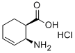 Cis-2-amino-cyclohex-3-enecarboxylic acid hydrochloride Structure,142035-00-5Structure
