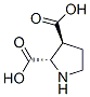2,3-Pyrrolidinedicarboxylicacid,(2s,3s)-(9ci) Structure,147332-07-8Structure
