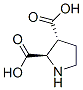 2,3-Pyrrolidinedicarboxylicacid,(2r,3r)-(9ci) Structure,147332-08-9Structure
