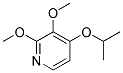 Pyridine, 2,3-dimethoxy-4-(1-methylethoxy)-(9ci)Structure,158150-21-1Structure Pyridine, 2,3-dimethoxy-4-(1-methylethoxy)-(9ci) Structure,158150-21-1Structure