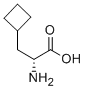 D-cyclobutylalanineStructure,174266-00-3Structure D-cyclobutylalanine Structure,174266-00-3Structure