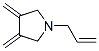 (9CI)-3,4-雙(亞甲基)-1-(2-丙烯基)-吡咯烷結(jié)構(gòu)式_176249-80-2結(jié)構(gòu)式