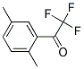 Ethanone, 1-(2,5-dimethylphenyl)-2,2,2-trifluoro-(9ci)Structure,181828-02-4Structure Ethanone, 1-(2,5-dimethylphenyl)-2,2,2-trifluoro-(9ci) Structure,181828-02-4Structure
