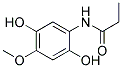 Propanamide, n-(2,5-dihydroxy-4-methoxyphenyl)-(9ci)Structure,186293-62-9Structure Propanamide, n-(2,5-dihydroxy-4-methoxyphenyl)-(9ci) Structure,186293-62-9Structure