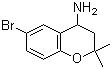 6-Bromo-3,4-dihydro-2,2-dimethyl-2h-1-benzopyran-4-amineStructure,226922-92-5Structure 6-Bromo-3,4-dihydro-2,2-dimethyl-2h-1-benzopyran-4-amine Structure,226922-92-5Structure