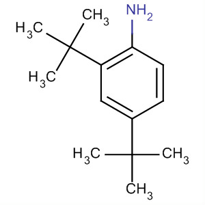 2,4-Di-tert-butylanilineStructure,2909-84-4Structure 2,4-Di-tert-butylaniline Structure,2909-84-4Structure