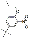 對(duì)叔丁基鄰硝基苯丙醚結(jié)構(gòu)式_33353-60-5結(jié)構(gòu)式