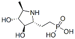 (9ci)-[2-[(2r,3r,4r,5r)-3,4-二羥基-5-甲基-2-吡咯烷]乙基]-磷酸結構式_339186-29-7結構式