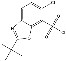 2-Tert-butyl-6-chlorobenzoxazole-7-sulfonyl chlorideStructure,361392-60-1Structure 2-Tert-butyl-6-chlorobenzoxazole-7-sulfonyl chloride Structure,361392-60-1Structure