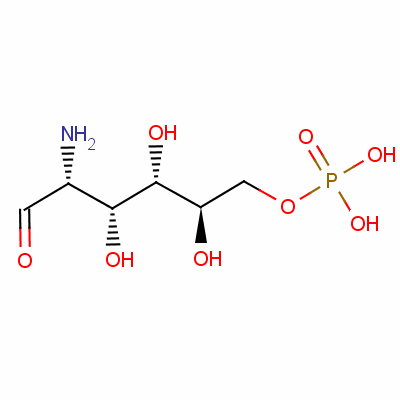 D-glucosamine 6-phosphateStructure,3616-42-0Structure D-glucosamine 6-phosphate Structure,3616-42-0Structure