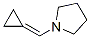 (9CI)-1-(環(huán)亞丙基甲基)-吡咯烷結(jié)構(gòu)式_389799-13-7結(jié)構(gòu)式