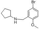 N-(5-bromo-2-methoxybenzyl)cyclopentanamineStructure,418779-19-8Structure N-(5-bromo-2-methoxybenzyl)cyclopentanamine Structure,418779-19-8Structure