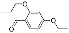 Benzaldehyde, 4-ethoxy-2-propoxy-(9ci)Structure,433731-18-1Structure Benzaldehyde, 4-ethoxy-2-propoxy-(9ci) Structure,433731-18-1Structure