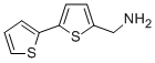 2,2-Bithiophene-5-methylamineStructure,4380-96-5Structure 2,2-Bithiophene-5-methylamine Structure,4380-96-5Structure