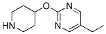 (9CI)-5-乙基-2-(4-哌啶基氧基)-嘧啶結(jié)構(gòu)式_459819-33-1結(jié)構(gòu)式
