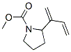 1-Pyrrolidinecarboxylic acid, 2-(1-methylene-2-propenyl)-, methyl ester (9ci)Structure,475106-82-2Structure 1-Pyrrolidinecarboxylic acid, 2-(1-methylene-2-propenyl)-, methyl ester (9ci) Structure,475106-82-2Structure