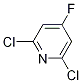 2,6-Dichloro-4-fluoropyridineStructure,52074-49-4Structure 2,6-Dichloro-4-fluoropyridine Structure,52074-49-4Structure