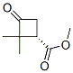 Cyclobutanecarboxylic acid,2,2-dimethyl-3-oxo-,methyl ester,(1s)-(9ci)Structure,527751-17-3Structure Cyclobutanecarboxylic acid,2,2-dimethyl-3-oxo-,methyl ester,(1s)-(9ci) Structure,527751-17-3Structure