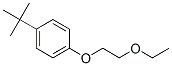 1-Tert-butyl-4-(2-ethoxyethoxy)benzeneStructure,54889-97-3Structure 1-Tert-butyl-4-(2-ethoxyethoxy)benzene Structure,54889-97-3Structure