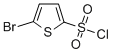 5-Bromothiophenesulfonyl chloride Structure,55854-46-1Structure