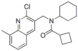 Cyclobutanecarboxamide, n-[(2-chloro-8-methyl-3-quinolinyl)methyl]-n-cyclohexyl-(9ci) Structure,606095-44-7Structure