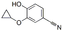 Benzonitrile, 3-(cyclopropyloxy)-4-hydroxy-(9ci)Structure,608514-93-8Structure Benzonitrile, 3-(cyclopropyloxy)-4-hydroxy-(9ci) Structure,608514-93-8Structure