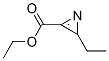 Ethyl 2-ethyl-2h-azirene-3-carboxylateStructure,62317-53-7Structure Ethyl 2-ethyl-2h-azirene-3-carboxylate Structure,62317-53-7Structure