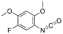Benzene, 1-fluoro-5-isocyanato-2,4-dimethoxy-(9ci)Structure,625119-43-9Structure Benzene, 1-fluoro-5-isocyanato-2,4-dimethoxy-(9ci) Structure,625119-43-9Structure