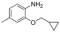 Benzenamine, 2-(cyclopropylmethoxy)-4-methyl-(9ci)Structure,640767-87-9Structure Benzenamine, 2-(cyclopropylmethoxy)-4-methyl-(9ci) Structure,640767-87-9Structure